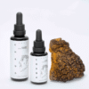 chaga1_1080x.png Chaga mushroom tincture – Inonotus obliquus extract
