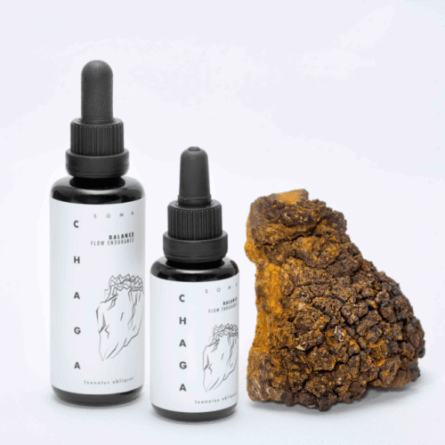 Chaga mushroom tincture – Inonotus obliquus extract