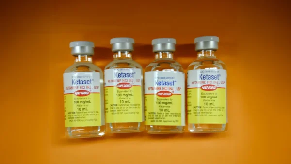 ketaset-ketamine.webp Ketaset Ketamine